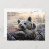 DagdroomBeer Briefkaart (Voorkant / Achterkant)