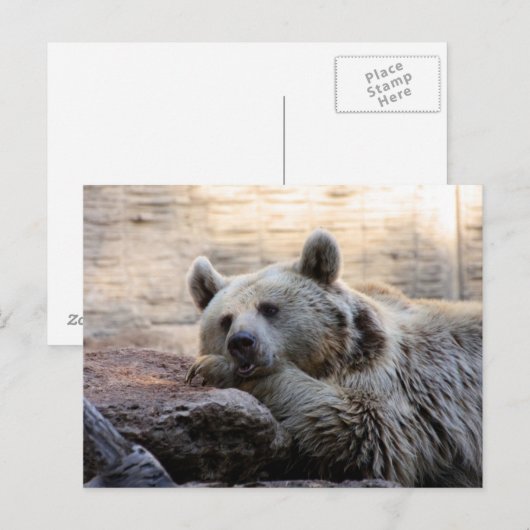 DagdroomBeer Briefkaart (Voorkant / Achterkant)