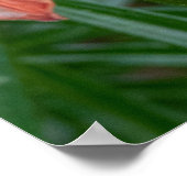 Dagelijks botanisch afdrukken, Canadese fotografie Poster (Hoek)