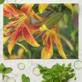 Dagelijks botanisch afdrukken, Canadese fotografie Theedoek (Gevouwen)