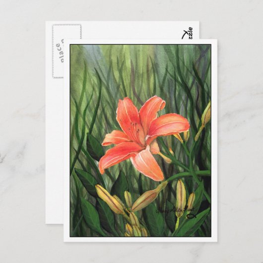 Dagelijks Briefkaart (Voorkant / Achterkant)