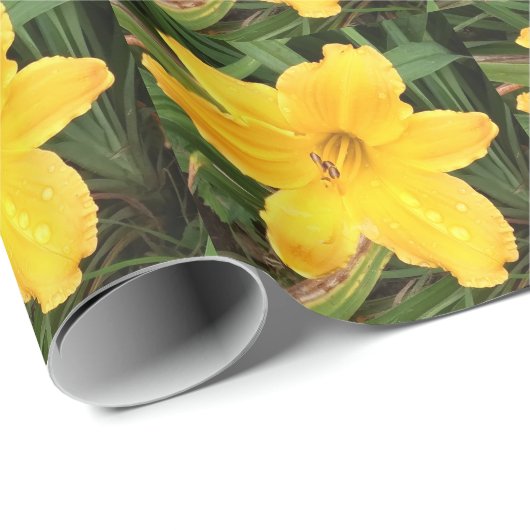 Dagelijks cadeautje cadeaupapier (Rol Hoek)