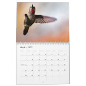 Dagelijks een nieuw lied zingen kalender (Mar 2027)