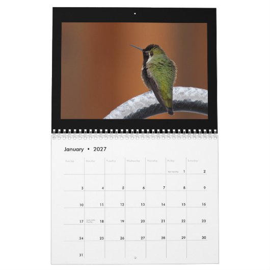 Dagelijks een nieuw lied zingen kalender (Jan 2027)