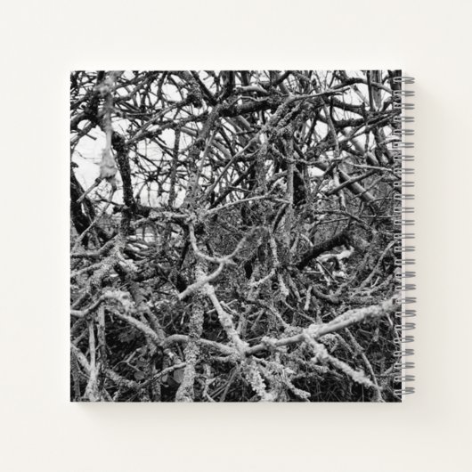 Dagelijks gedroogde winterboom notitieboek (Achterkant)