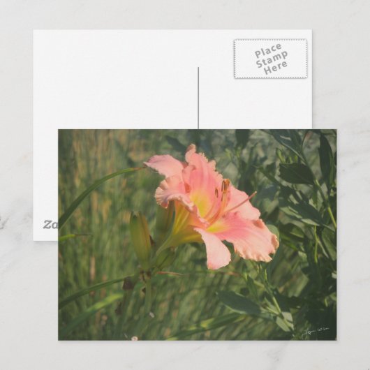 Dagelijks in de zon briefkaart (Voorkant / Achterkant)