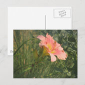 Dagelijks in de zon briefkaart (Voorkant / Achterkant)