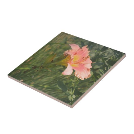 Dagelijks in de zon tegeltje (Zijkant)