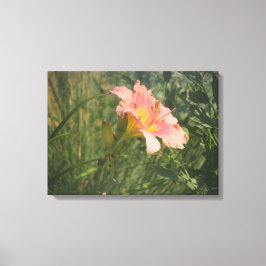 Dagelijks in het Sun Wrapped Canvas Afdruk