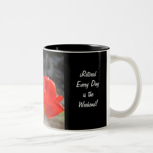 Dagelijks pensioen voor mokken in ruste (Rechts)