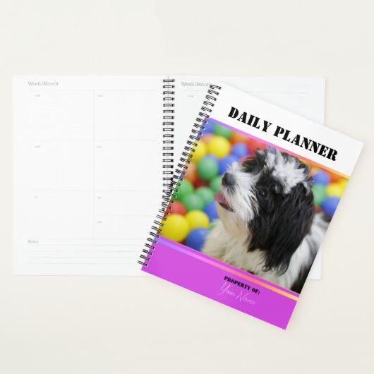 Dagelijks programma met foto's - Violet - HAMbWG Planner (Display)
