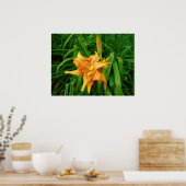 Dagelijks: Sinaasappel Poster (Keuken)