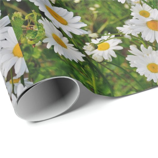 Dagelijks verpakkingspapier cadeaupapier (Rol Hoek)