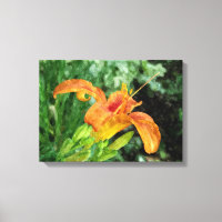 Dagelijks Waterverf Canvas