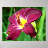 Dagelijkse aanloop poster (Voorkant)