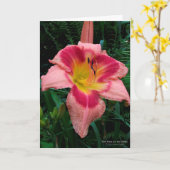 Dagelijkse bloem / Lelie / Roze roze met rood oog  Kaart (Gele Bloem)