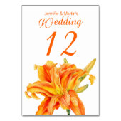 Dagelijkse Hemerocallis bloemen trouwtafel nummers Kaart (Achterkant)