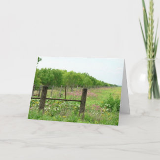 Dagelijkse Inspiratie kaart-achter Elke Wolk Kaart