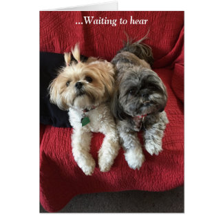 Dagelijkse kaarten / Grace & Glory