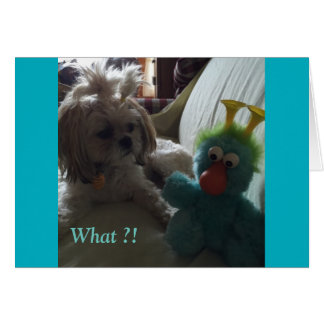 Dagelijkse kaarten / Grace & Glory