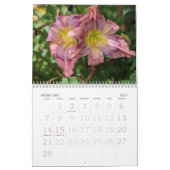 Dagelijkse kalender (Feb 2027)