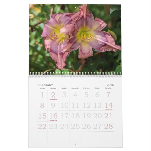 Dagelijkse kalender (Feb 2026)