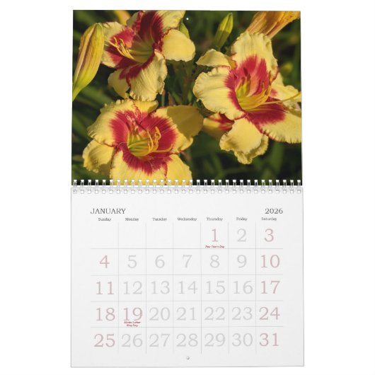 Dagelijkse kalender (Jan 2026)