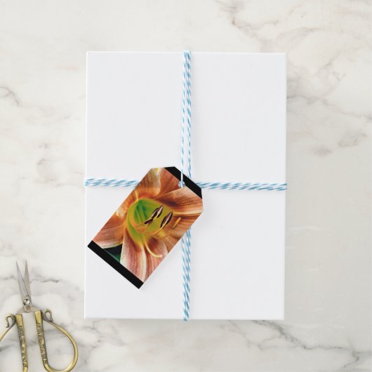 Dagelijkse macro cadeaulabel (Met Touw)