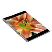 Dagelijkse macro notitieboek (Rechterzijde)