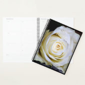 Dagelijkse planner met een witte roos - HAMbWG (Display)