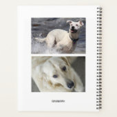 Dagelijkse planner met klokontwerp en foto's- HAMb (Achterkant)