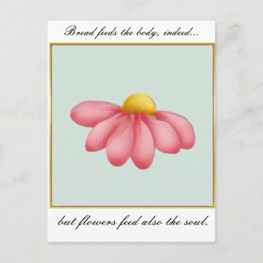 Dagelijkse postzegels en briefkaarten (Voorkant)