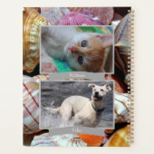 Dagelijkse promotieplanner die u aanpast - HAMbyWG Planner (Achterkant)