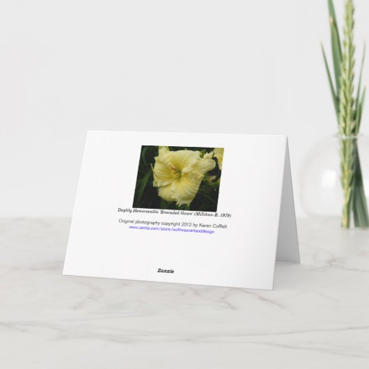 Dagelijkse ventilator/pasta Lemon Cream Yellow / Kaart (Achterkant)