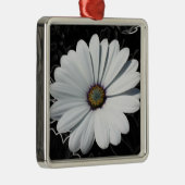 Dagen en schaduwen van grijs metalen ornament (Rechts)