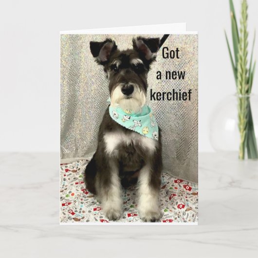 * DAGEN EN ZICHTIGHEID DE HELE DAG * * * ZWAARDAG  KAART (Voorkant)