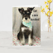 * DAGEN EN ZICHTIGHEID DE HELE DAG * * * ZWAARDAG  KAART (Gele Bloem)