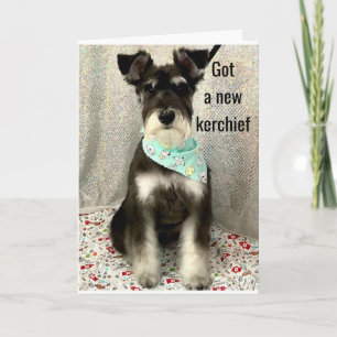 * DAGEN EN ZICHTIGHEID DE HELE DAG * * * ZWAARDAG  KAART