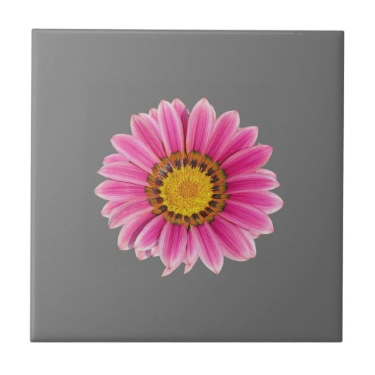 Dagen in roze tegeltje (Voorkant)