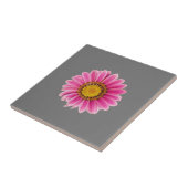 Dagen in roze tegeltje (Zijkant)