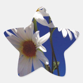 dagen ster sticker
