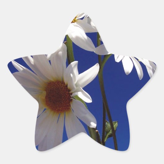 dagen ster sticker (Voorkant)