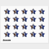 dagen ster sticker (Vel)