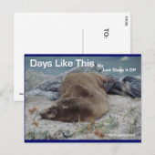 Dagen zoals deze (Zee Lion) - Briefkaart (Voorkant / Achterkant)