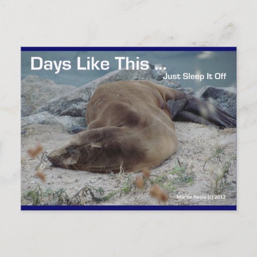 Dagen zoals deze (Zee Lion) - Briefkaart (Voorkant)