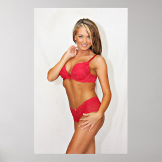 Dageres van het Onderzoek van het Noordwesten Post Poster