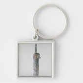 Dagger, Halstatt Culture, c.750-450 BC Sleutelhanger (Voorkant)