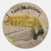 Dagger Moth Caterpillar Nature Personalized Ronde Sticker (Voorkant)