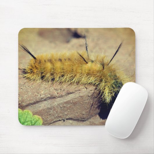 Dagger Moth Caterstyle Natuur Muismat (Met muis)