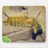 Dagger Moth Caterstyle Natuur Muismat (Voorkant)